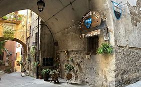 La Civetta - Casa vacanze Orte